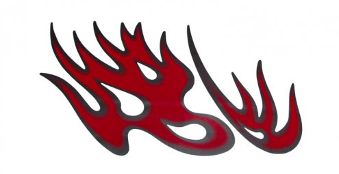 VISTA COFRE&Prime;FIRE BIRD&Prime;PLATA-ROJO 67x80 CM