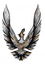 KIT VISTAS COFRE AGUILA 60X90 CM (PAR)